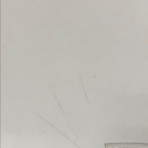 Meet your Posher, Leonel